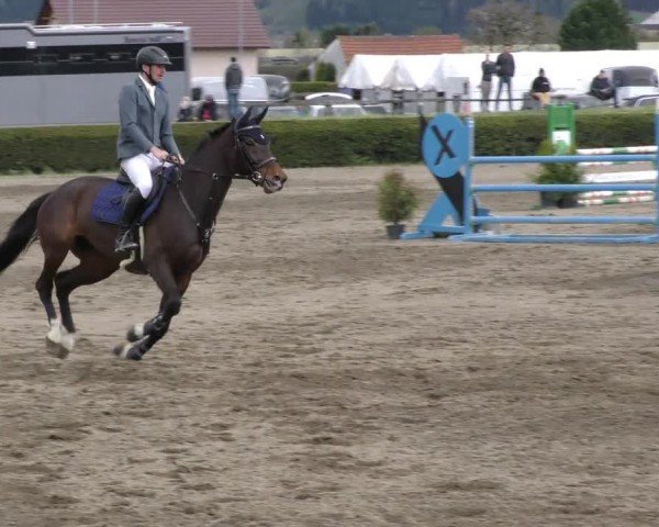 Reitturnier Sachendorf 2022