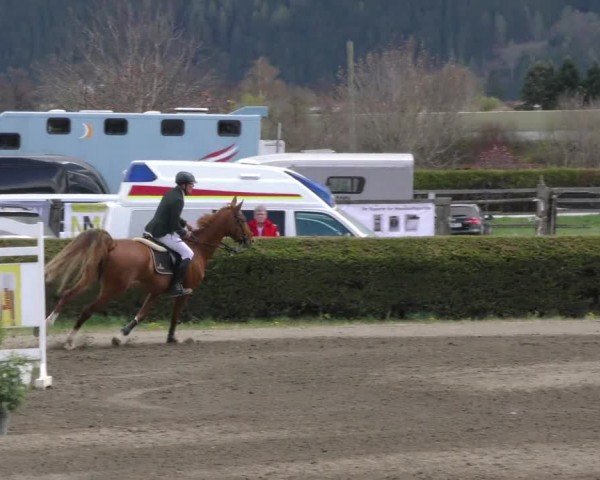 Reitturnier Sachendorf 2022
