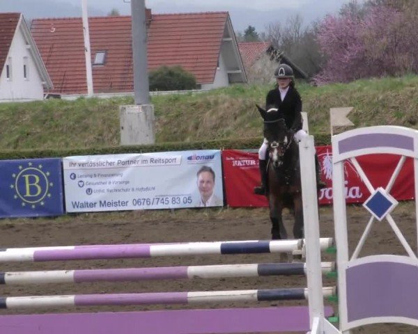 Reitturnier Sachendorf 2022