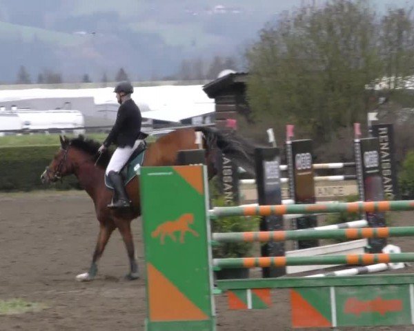 Reitturnier Sachendorf 2022