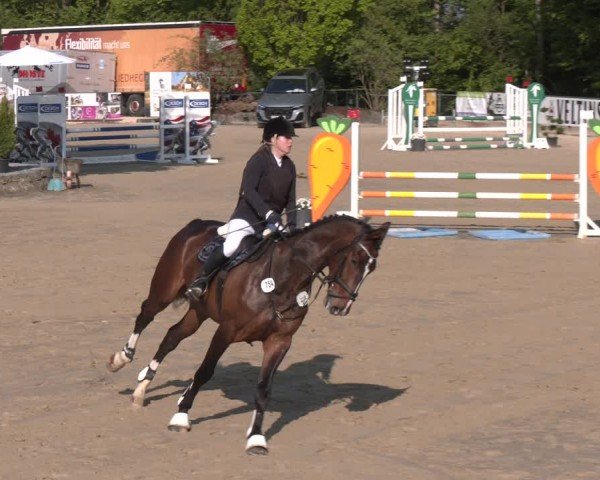 Reitturnier Hellefeld 2024