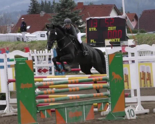 Reitturnier Sachendorf 2022