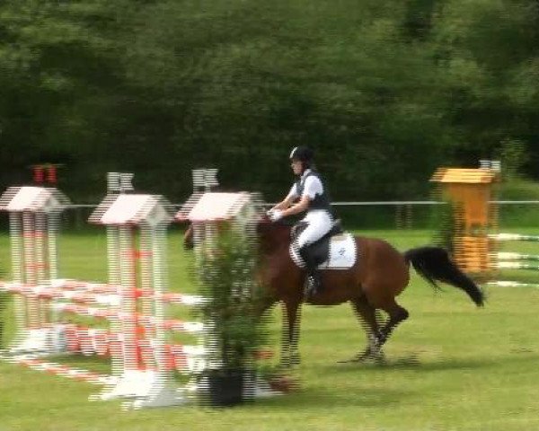 Großes Sommerturnier in Hille 2012