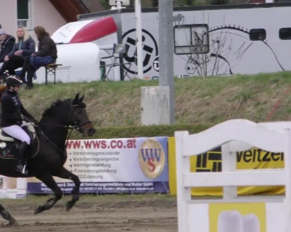 Reitturnier Sachendorf 2022
