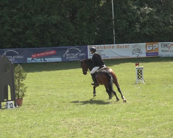 Reitturnier Scharnebeck 2024
