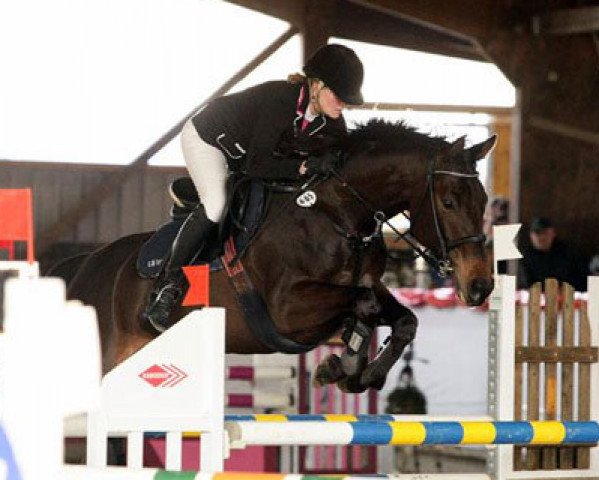 broodmare Scharity (Trakehner, 2005, from Balisto)