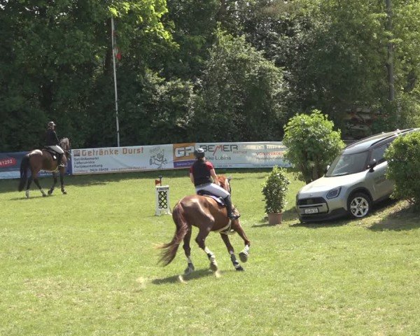 Reitturnier Scharnebeck 2024