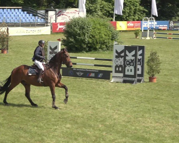 Reitturnier Scharnebeck 2024