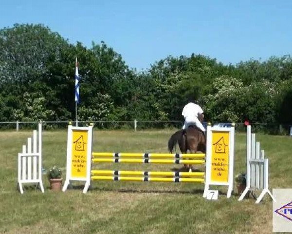Pfingst-Reitturnier Kreuzkrug-Raddestorf 2012