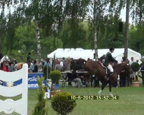Großes Sommerturnier in Hille 2012