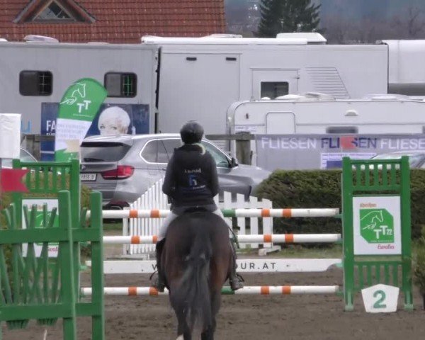 Reitturnier Sachendorf 2022