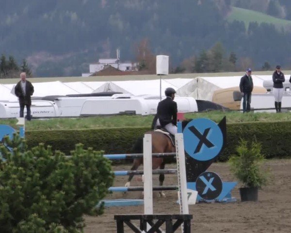 Reitturnier Sachendorf 2022