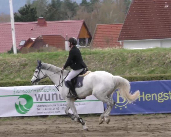 Reitturnier Sachendorf 2022