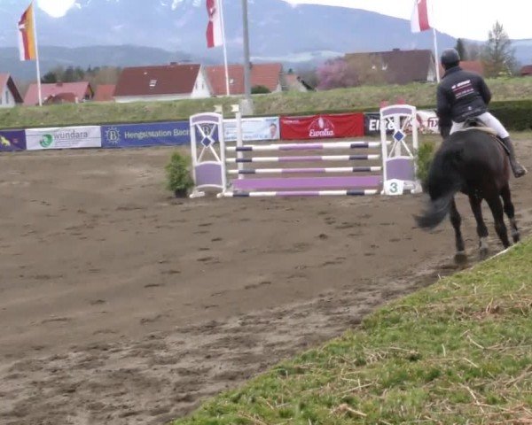 Reitturnier Sachendorf 2022