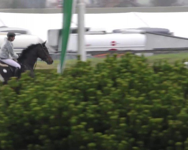 Reitturnier Sachendorf 2022