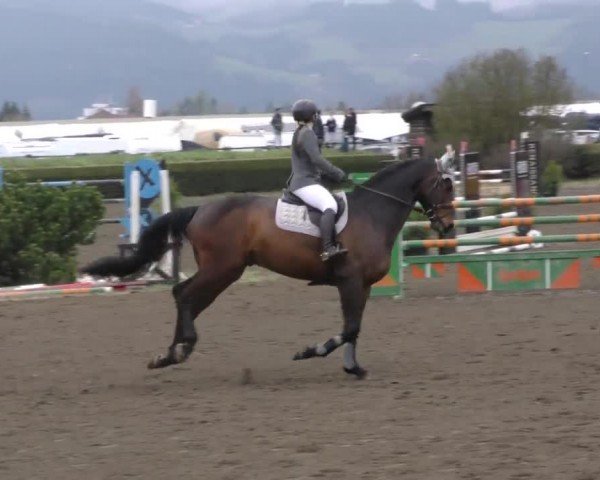 Reitturnier Sachendorf 2022