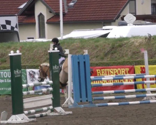 Reitturnier Sachendorf 2022