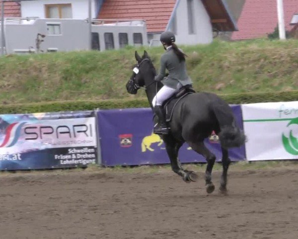 Reitturnier Sachendorf 2022