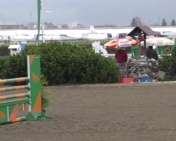 Reitturnier Sachendorf 2022