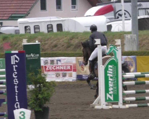 Reitturnier Sachendorf 2022