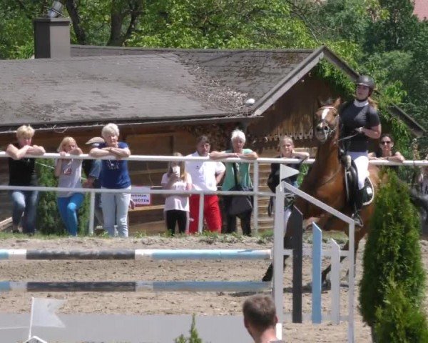 Reitturnier Dachberg 2022