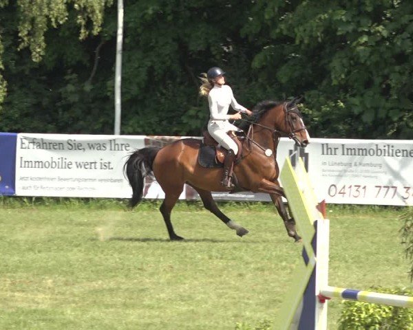 Reitturnier Scharnebeck 2024