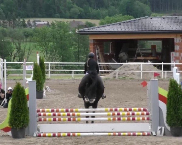 Reitturnier Dachberg 2022