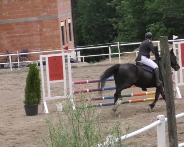 Reitturnier Dachberg 2022