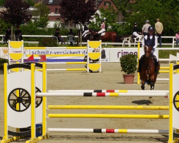 Reitturnier Bornheim-Widdig 2024