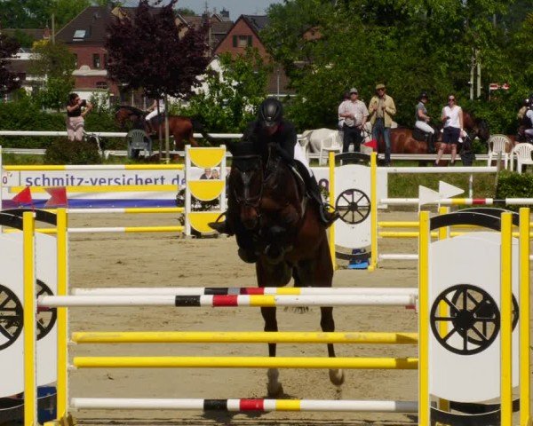 Reitturnier Bornheim-Widdig 2024