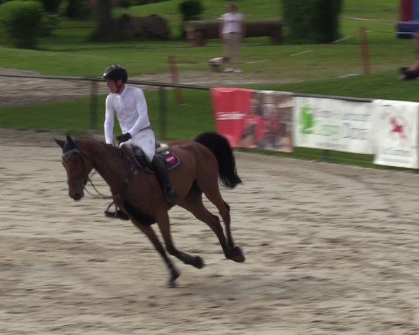 Reitturnier Hamm-Rhynern 2024