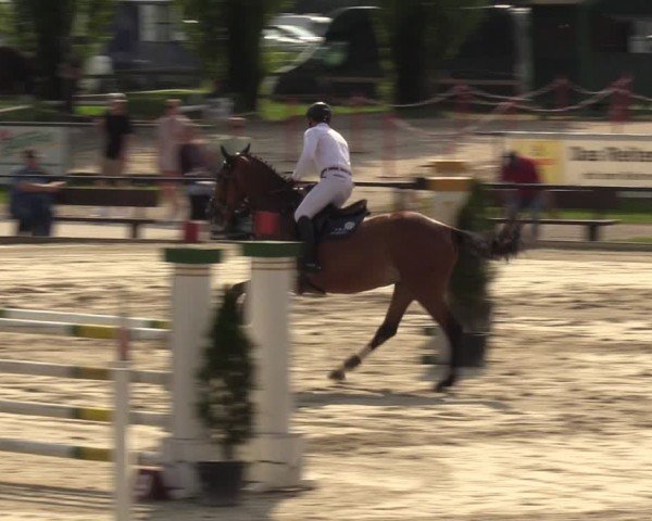 Reitturnier Hamm-Rhynern 2024