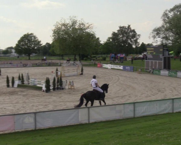 Reitturnier Hamm-Rhynern 2024
