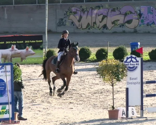 Basler Pferdesporttage Schänzli 2021