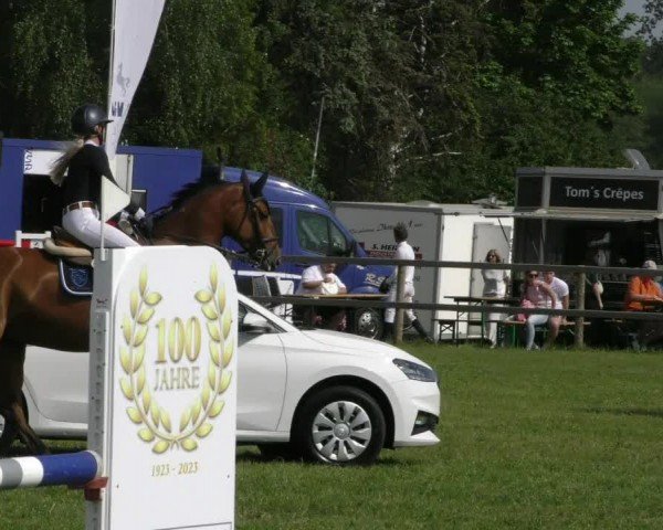 Reitturnier Wilkenburg 2024