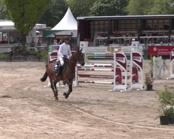 Reitturnier Hellefeld 2024