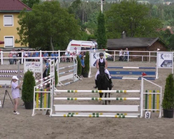 Reitturnier Dachberg 2022