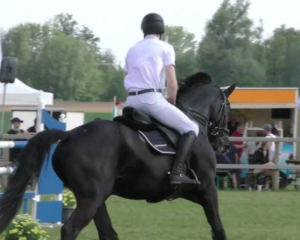Reitturnier Wilkenburg 2024