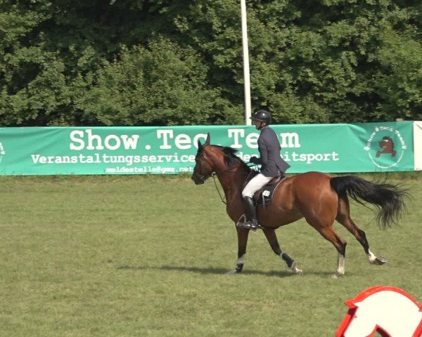 Reitturnier Scharnebeck 2024