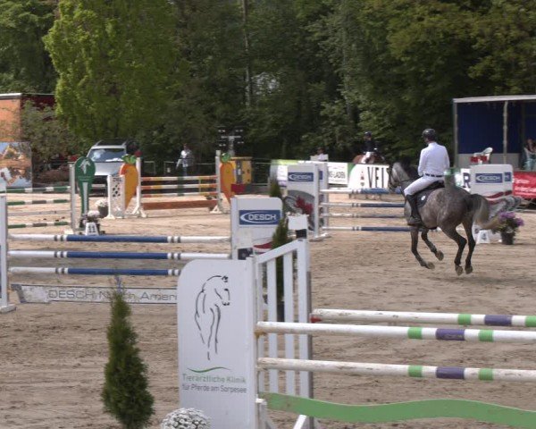Reitturnier Hellefeld 2024