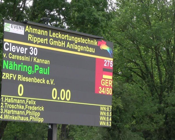 Reitturnier Lienen 2024