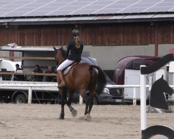 Reitturnier Villach/Sumperhof 2022