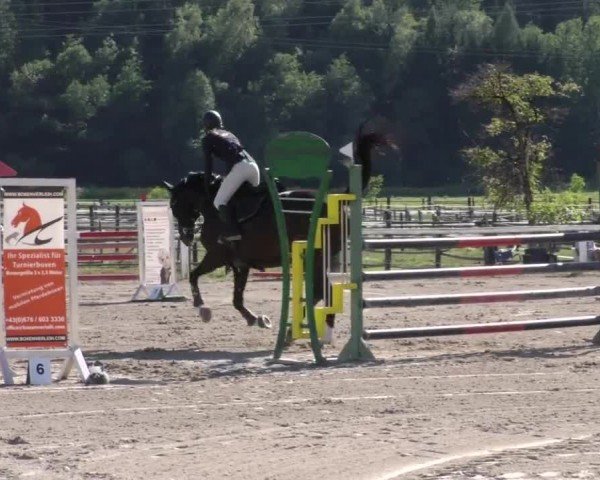 Reitturnier Villach/Sumperhof 2022