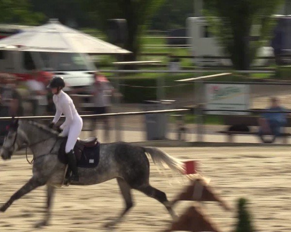 Reitturnier Hamm-Rhynern 2024
