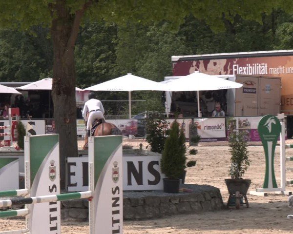 Reitturnier Hellefeld 2024