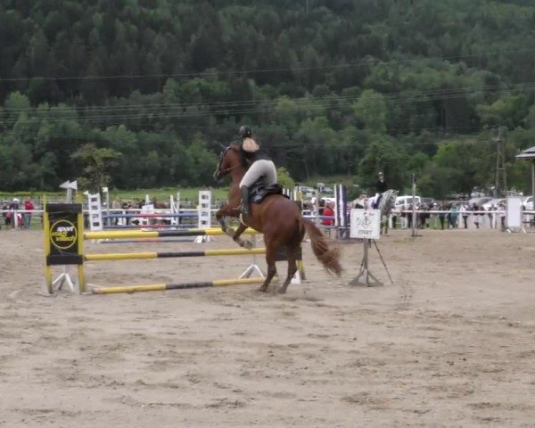 Reitturnier Villach/Sumperhof 2022