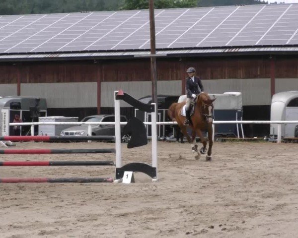 Reitturnier Villach/Sumperhof 2022