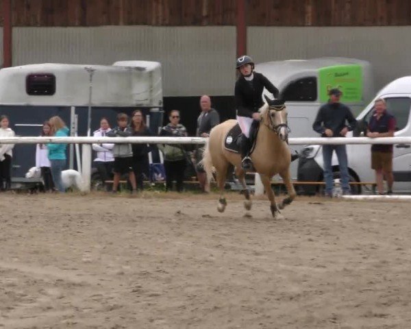 Reitturnier Villach/Sumperhof 2022