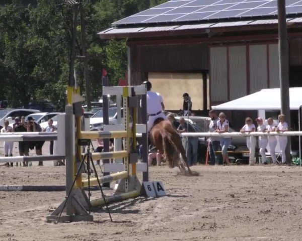 Reitturnier Villach/Sumperhof 2022