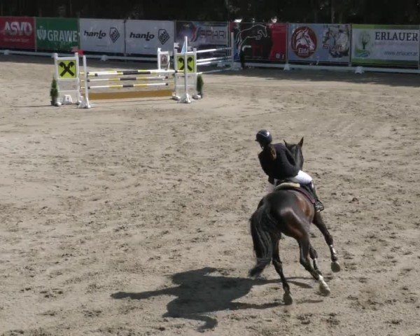 Reitturnier Preding 2022